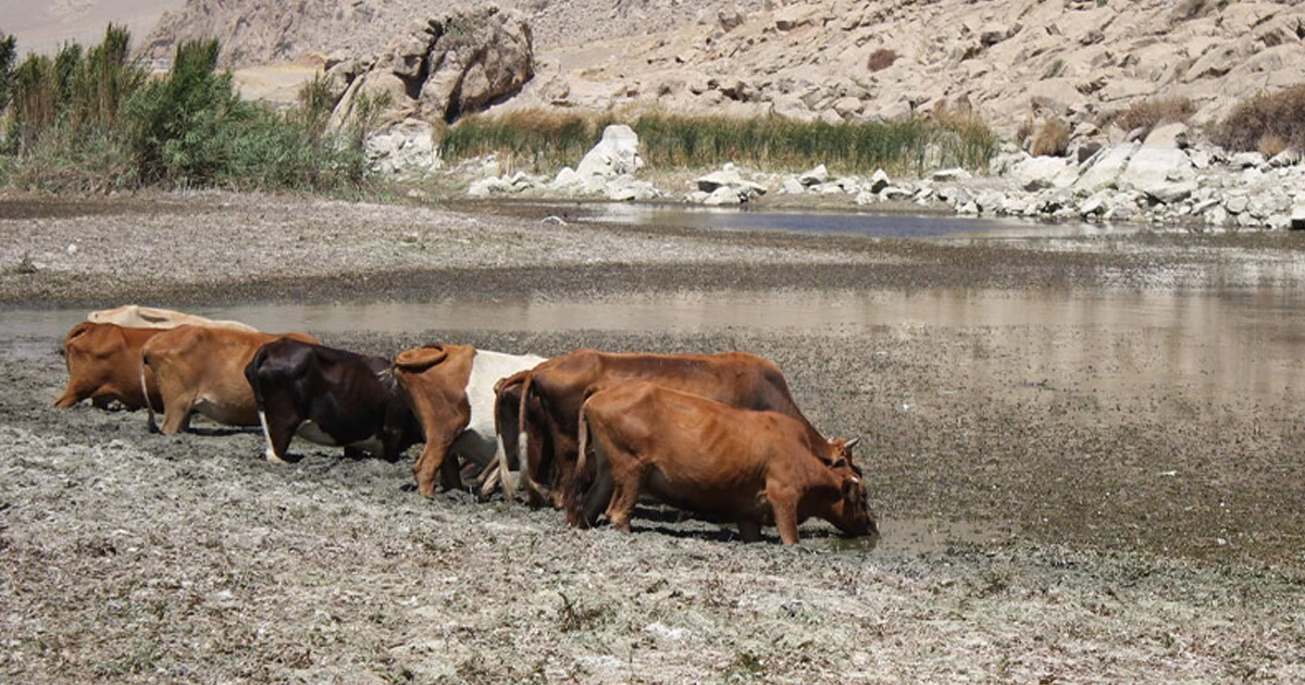 بحران خشک شدن تالاب هشیلان