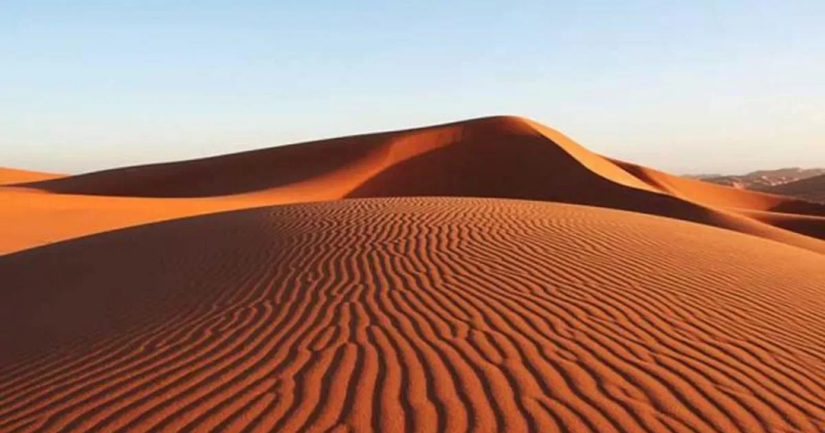 حیات در دل بیرحم لوت؛ شگفتی پوشش گیاهی و جانوری در کویر سوزان