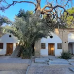 درخت چهارصد ساله تکیه میرفندرسکی تخت فولاد اصفهان زیبا