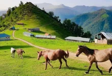 10 مقصد ایران برای تجربه زندگی محلی