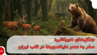 جنگلهای هیرکانی؛ سفر به عصر دایناسورها در قلب ایران