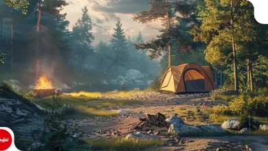 صفر تا صد وسایل مورد نیاز برای کمپ در جنگل؛ چکلیست کامل تجهیزات ضروری